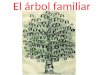 El árbol familiar. Los parientes los abuelos la abuela / abuelitael abuelo / abuelito