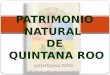 PATRIMONIO NATURAL DE QUINTANA ROO. ¿QUÉ ES EL PATRIMONIO NATURAL? La UNESCO define Patrimonio Natural como el conjunto de valores naturales que tienen