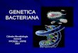 GENETICA BACTERIANA Cátedra Microbiología General FACENA – UNNE 2007