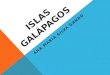 ISLAS GALÁPAGOS ANA MARÍA SILVA GANDO. UBICACIÓN Las islas Galápagos están a 972 kilómetros al oeste de las costas del Ecuador continental y forman un