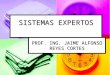 SISTEMAS EXPERTOS PROF. ING. JAIME ALFONSO REYES CORTES
