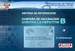 SISTEMA DE INFORMACION SISTEMA DE INFORMACION CAMPAÑA DE VACUNACION CONTRA LA HEPATITIS B Lic. Lidia Mendoza Lara ESTRATEGIA SANITARIA NACIONAL DE INMUNIZACIONES