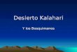 Desierto Kalahari Y los Bosquimanos. Historia (Kalahari) El primer explorador extranjero que consiguió atravesarlo fue David Livingstone en 1849. Peor