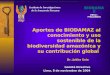 Instituto de Investigaciones de la Amazonía Peruana Comité Directivo Lima, 8 de noviembre de 2004 Aportes de BIODAMAZ al conocimiento y uso sostenible