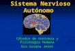 Sistema Nervioso Autónomo Cátedra de Anatomía y Fisiología Humana Dra Susana Jerez