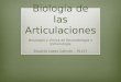 Biología de las Articulaciones Nosología y clínica de Reumatología e Inmunología Eduardo López Galindo 91157