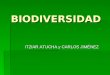 BIODIVERSIDAD ITZIAR ATUCHA y CARLOS JIMÉNEZ. ¿Qué es la Biodiversidad?  En la Cumbre de Río de Janeiro (1992) se definió este término agrupando tres