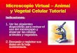 Microscopio Virtual – Animal y Vegetal Celular Tutorial Indicaciones: 1.Ver las siguientes diapositivas para revisar el uso del microscopio y observar