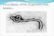Virus Ebola, 1976: El germen más letales…. Aspectos generales 