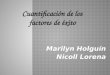 Marilyn Holguín Nicoll Lorena. Cuantificación de los factores de éxito Unidades estratégicas de negocio Unidades estratégicas de negocio Penetración de