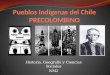 Historia, Geografía y Ciencias Sociales NM2. Asentamientos humanos más antiguos en Chile Se estima que entre 14.000 y 12.000 ap., ingresaron al actual