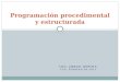 ING. JORGE OSPINA CUN, FEBRERO DE 2013 Programación procedimental y estructurada