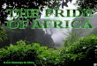 B.S.O. Memorias de África “The Pride of Africa” El orgullo de África, bello nombre para un tren, sin duda, símbolo de un continente y de un sentimiento