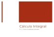 Cálculo Integral M. C. Liliana Guadalupe Salvador