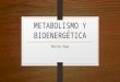 METABOLISMO Y BIOENERGÉTICA Marina Vega. Algunas definiciones y aclaraciones….. METABOLISMO DEFINICIÓN: Suma de transformaciones químicas que se producen