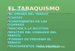 EL TABAQUISMO EL TABACO EL ORIGEN DEL TABACO CAUSAS COMPONENTES DE LOS CIGARROS ADICION A LA NICOTINA EFECTOS DEL CONSUMO DEL TABACO FORMAS DE PREVENIR