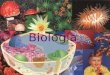 Biología. ¿Qué es Biología? Ciencia de la vida Estudia los organismos vivos y su interacción con el ambiente