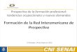 Prospectiva de la formación profesional: tendencias ocupacionales y nuevas demandas Formación de la Red Interamericana de Prospectiva El Salvador, 04 de