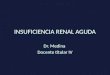 INSUFICIENCIA RENAL AGUDA Dr. Medina Docente titular IV