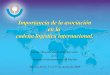 Importancia de la asociación en la cadena logística internacional. Décima Reunión del Comité Ejecutivo de la Comisión Interamericana de Puertos Buenos