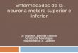ENFERMEDADES DE LA NEURONA MOTORA SUPERIOR E INFERIOR Dr. Miguel A. Barboza Elizondo Servicio de Neurologías Hospital Rafael A. Calderón