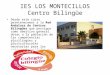 IES LOS MONTECILLOS Centro Bilingüe Desde este curso peretenecemos a la Red Andaluza de Centros Bilingües que persigue como obejtivo general dotar a la