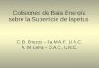 Colisiones de Baja Energía sobre la Superficie de Iapetus C. B. Briozzo – Fa.M.A.F., U.N.C. A. M. Leiva – O.A.C., U.N.C