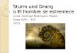 Sturm und Drang o El hombre se estremece Lcda. Solange Rodríguez Pappe Siglo XVIII – XIX 2011