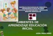 AMBIENTES DE APRENDIZAJE EDUCACIÓN INICIAL LICDA: PAULA PÉREZ REPÚBLICA BOLIVARIANA DE VENEZUELA UNIVERSIDAD ALONSO DE OJEDA FACULTAD DE HUMANIDADES Y