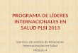 PROGRAMA DE LÍDERES INTERNACIONALES EN SALUD PLSI 2013 Ejercicio de análisis de Relaciones Internacionales en Salud Módulo 4