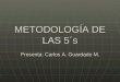 METODOLOGÍA DE LAS 5´s Presenta: Carlos A. Guardado M