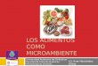 LOS ALIMENTOS COMO MICROAMBIENTE Universidad Autónoma de Chihuahua Facultad de Ciencias Químicas Microbiología de alimentos I.Q. Ever Hernández Olivas