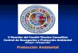 V Reunión del Comité Técnico Consultivo Control de Navegación y Protección Ambiental Managua – Nicaragua 2004 Protección Ambiental