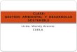 Licda. Wendy Aronne CURLA CLASE: GESTION AMBIENTAL Y DESARROLLO SOSTENIBLE