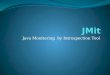 Java Monitoring by Introspection Tool. Equipo de Trabajo Tomás Fernández Löbbe Cristian Santilli Tutor Lic. Rosa Graciela Wachenchauzer
