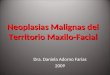 Dra. Daniela Adorno Farias 2009 Neoplasias Malignas del Territorio Maxilo-Facial