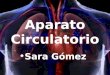 Aparato Circulatorio Sara Gómez Índice: Introducción. Sangre. Corazón. Sistema Linfático. Bibliografía