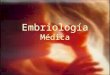 Embriología Médica. Períodos del desarrollo Prenatal: –Embrionario; de la segunda semana a las 8 semanas de gestación. –Feto; 9na semana al nacimiento