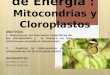 Transductores de Energía : Mitocondrias y Cloroplastos OBJETIVOS: 1. Determinar las funciones especificas de los cloroplastos y la manera en que intervienen