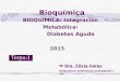 BIOQUIMICA: Integración Metabólica: Diabetes Aguda Bioquímica  Dra. Silvia Varas bioquimica.enfermeria.unsl@gmail.com Tema:10 2015
