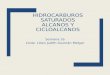 HIDROCARBUROS SATURADOS ALCANOS Y CICLOALCANOS Semana 16 Licda. Lilian Judith Guzmán Melgar