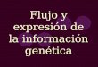 Flujo y expresión de la información genética. Trascripción Replicación Traducción Síntesis proteica