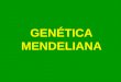 GENÉTICA MENDELIANA. 1. Historia 2. Conceptos básicos 3. Notación genética 4. Gregor Mendel. Leyes de Mendel 5. Retrocruzamientos 6. Alelismo múltiple