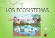 Componentes de un Ecosistema En los ecosistemas se distinguen dos componentes:  Biotopo Biotopo  Biocenosis Ambos componentes están fuertemente relacionados,