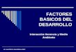 FACTORES BASICOS DEL DESARROLLO Interacción Herencia y Medio Ambiente LIC. WALTER R. SAAVEDRA LOPEZ