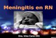 Dra. Irina Cano (MI). DEFINICIÓN Es la inflamación de las meninges y el encéfalo que se produce en el período neonatal