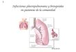 Http:// Infecciones pleuropulmonares y bronquiales en pacientes de la comunidad 3