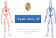 Trauma Vascular Presenta: Dr. Manuel Manzor Véliz Tutor: Dr. Michel Bergoeing Reid Octubre 2014
