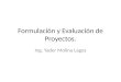 Formulación y Evaluación de Proyectos. Ing. Yader Molina Lagos