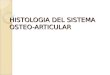 HISTOLOGIA DEL SISTEMA OSTEO-ARTICULAR. TIPOS DE HUESO CARACTERISTICASEJEMPLOS Clasificación De los huesos en relación con su forma LARGOSPresentan